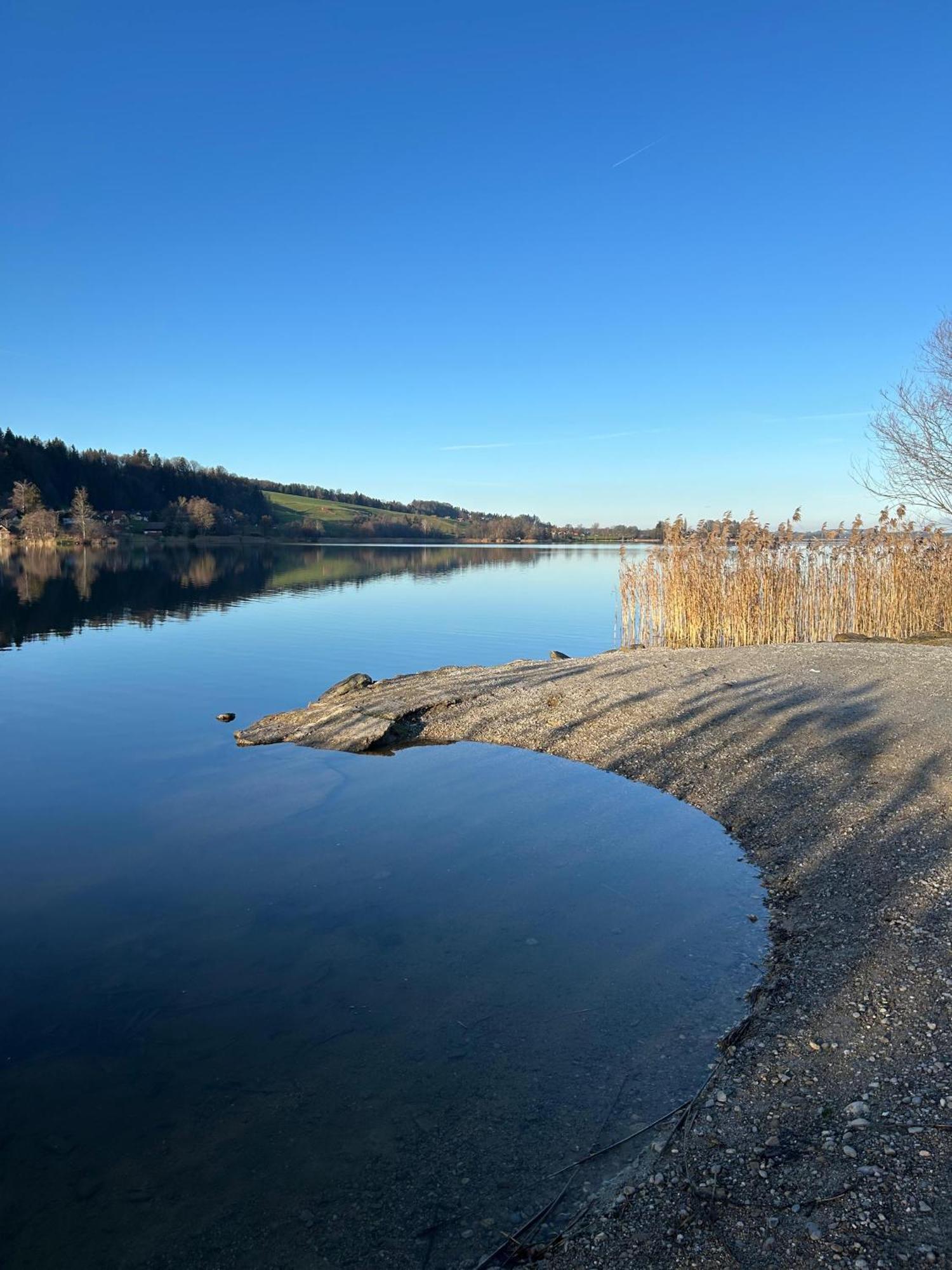 Ferienwohnungen Am See Obertrum am See Εξωτερικό φωτογραφία